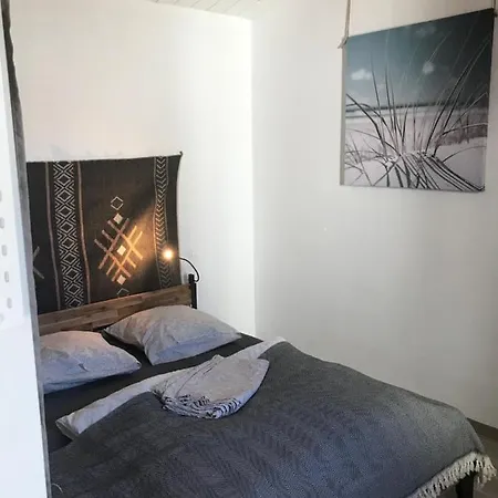 Les Agapanthes Noirmoutier-en-l'Ile