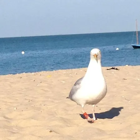 Dom wakacyjny Les Agapanthes *