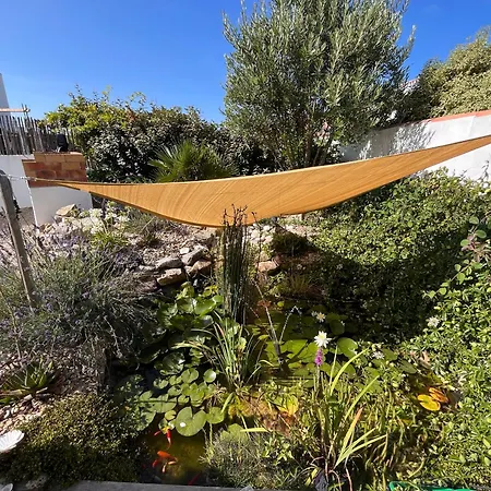 Les Agapanthes Noirmoutier-en-l'Ile