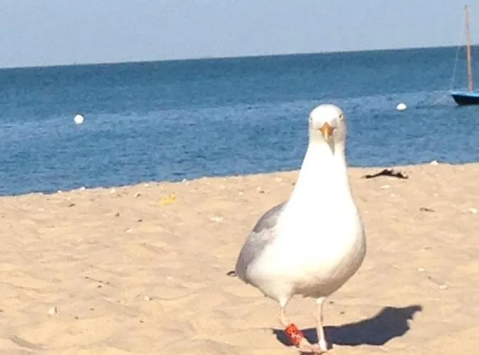 Hébergement de vacances Les Agapanthes *