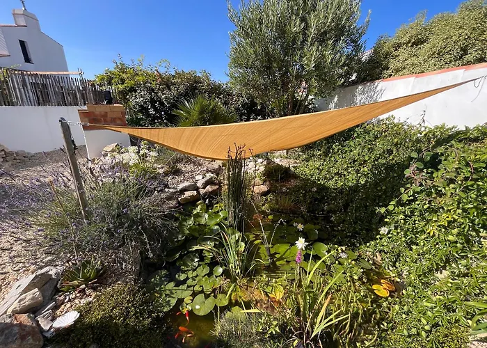 Les Agapanthes Noirmoutier-en-l'Ile